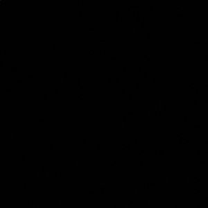 Meet your Posher, Blake